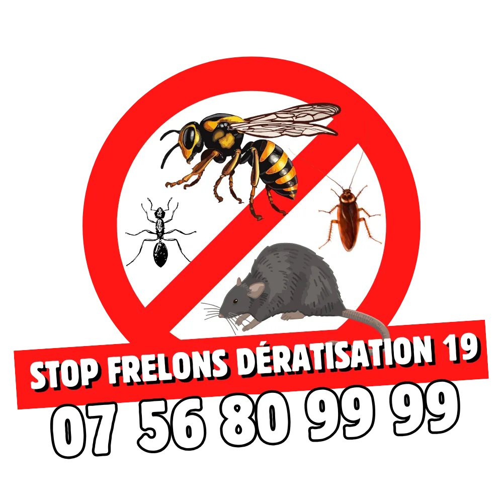 Stop Frelons 19, expert antinuisibles à Malemort-sur-Corrèze